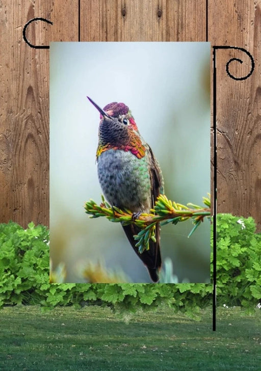 Hummingbirds Multi-Color Garden Flag