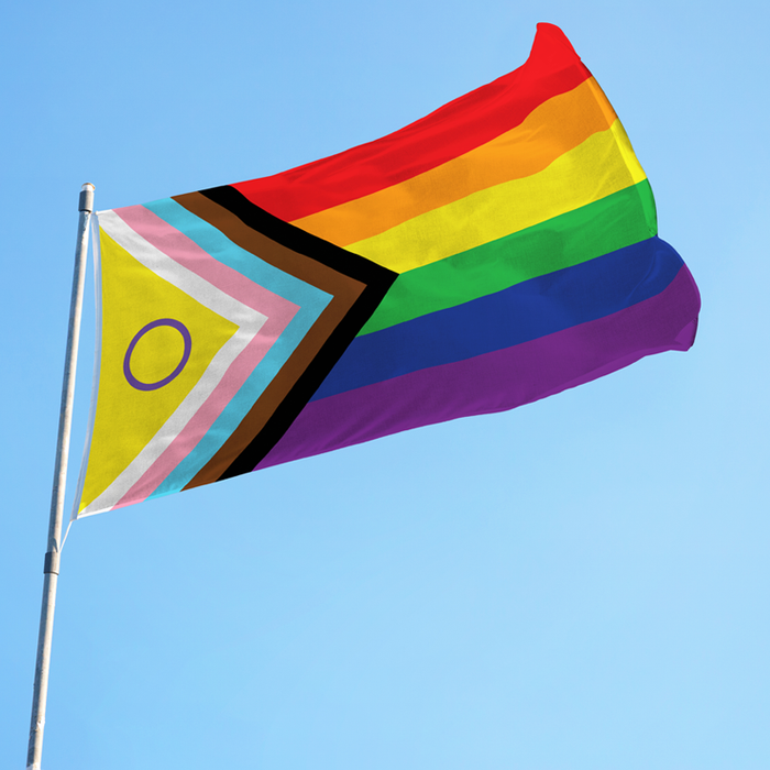 Inclusive Pride Polyester Flag - Made in USA