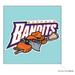 4x4" Buffalo Bandits Logo Decal