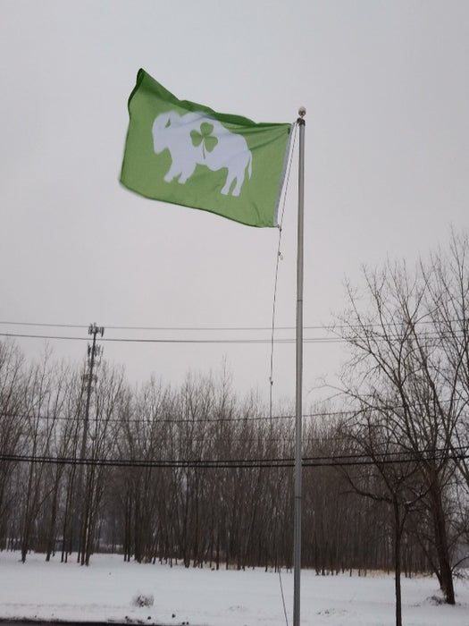 GREEN FLAG WITH WHITE STANDING BUFFALO AND THREE LEAF CLOVER IN THE CENTER ON AN IN GROUND FLAGPOLE