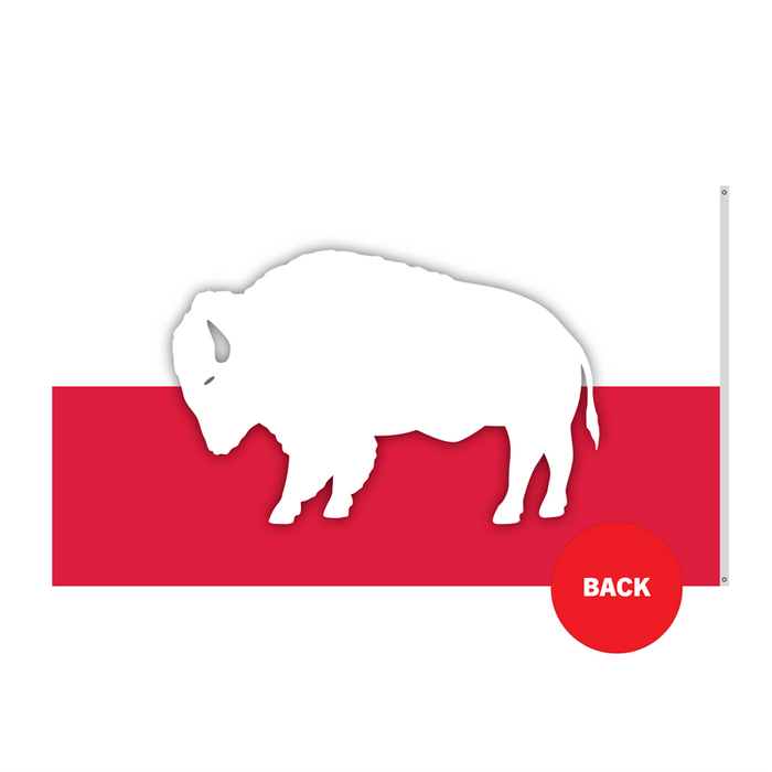 3x5' Buffalo Poland Polyester Flag - Made in USA