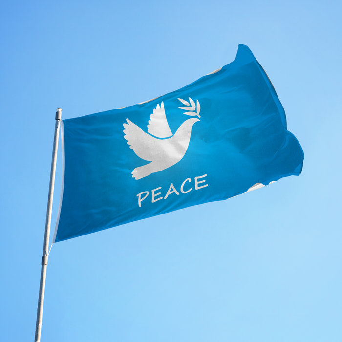 3x5' Peace Dove Polyester Flag - Made in USA