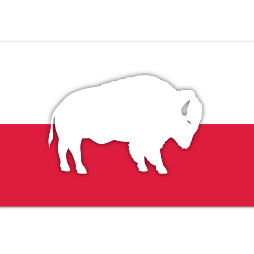 traditional polish flag with silhouetted buffalo in the center
