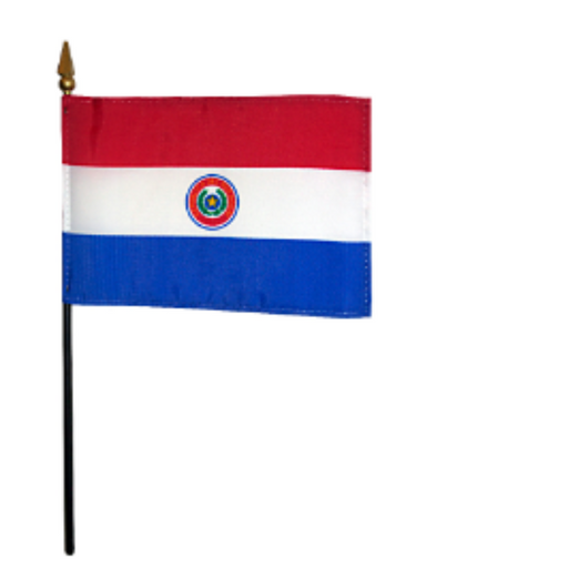 8x12" Paraguay Stick Flag