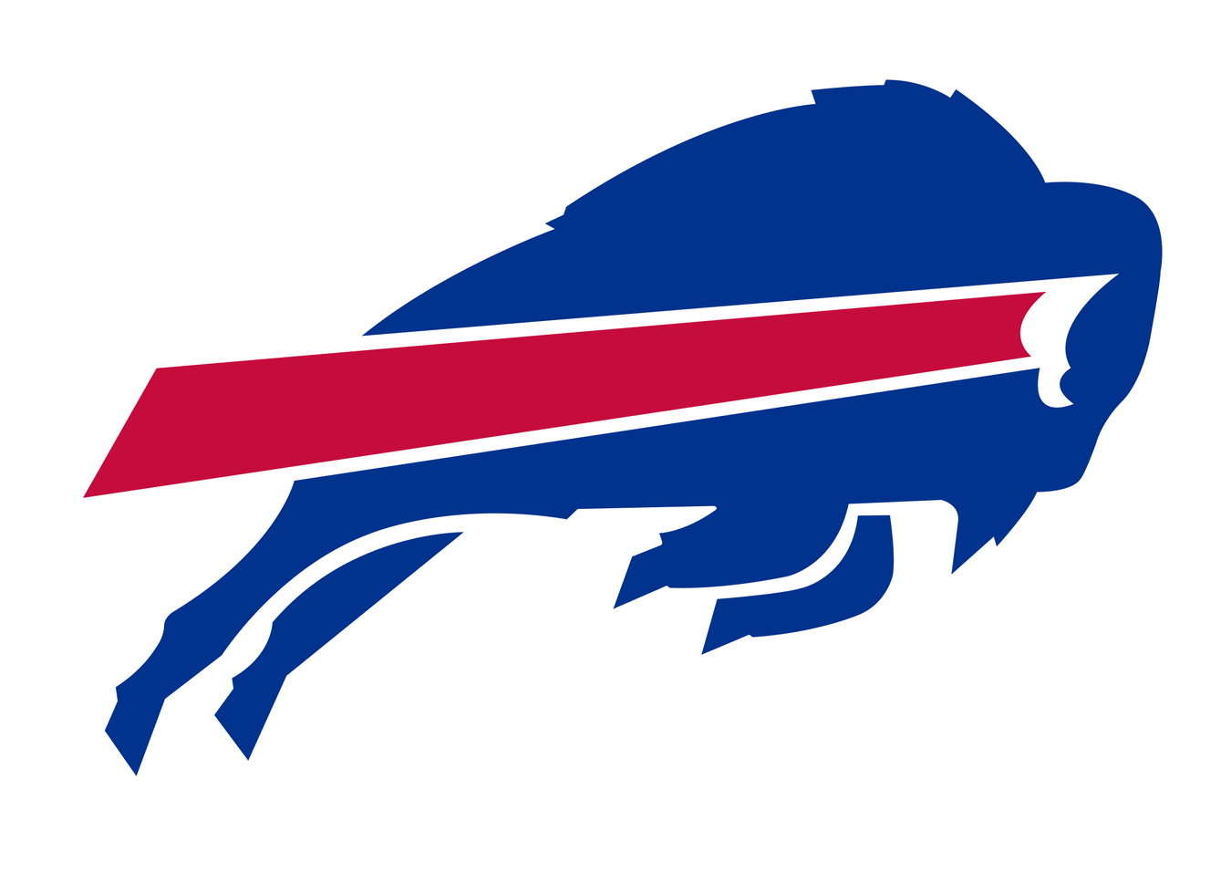 Buffalo Bills