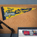 Savannah Bananas Pennant