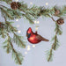 Glass Cardinal Ornament w/ Glitter Accents