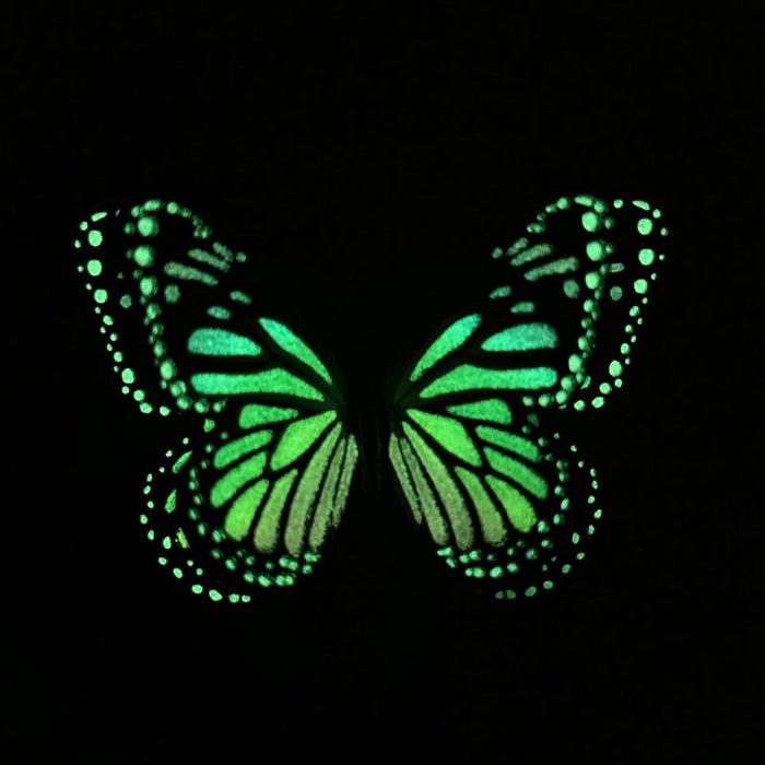 Rainbow Monarch Glow in the Dark Paper Butterfly Magnet