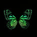 Rainbow Monarch Glow in the Dark Paper Butterfly Magnet