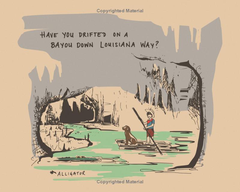 America, Why I Love Her Book