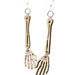 Skeleton Hand Dangle Wood Earrings