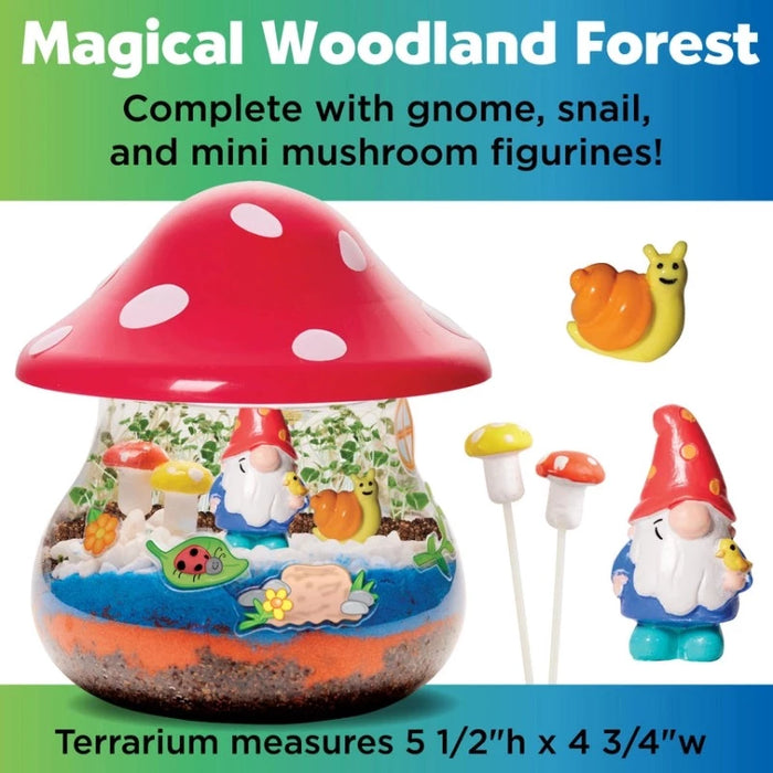 Plant & Grow Woodland Forest Terrarium