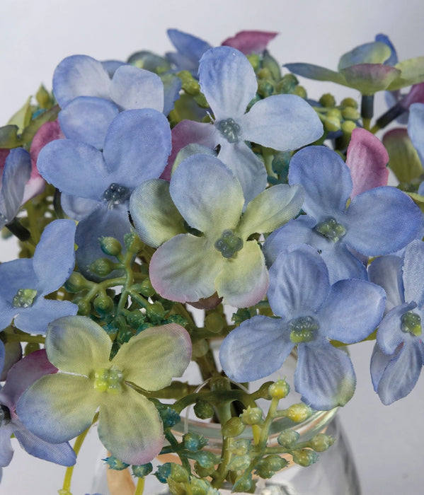 Blue Hydrangeas in Vase