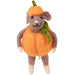 Pumpkin Mouse Critter Ornament
