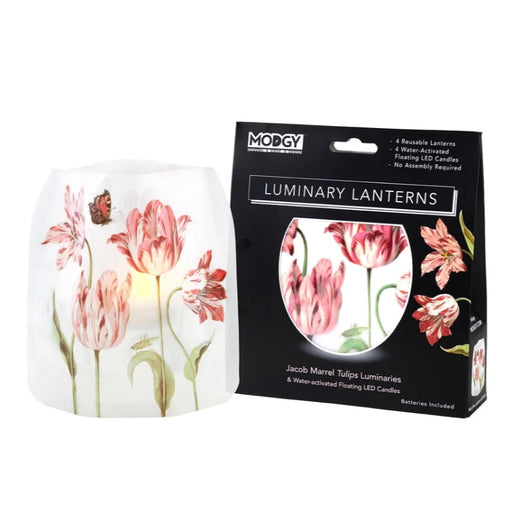 Jacob Marrel Tulips Expandable Luminary Lanterns