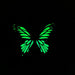 Green Swallowtail Glow in the Dark Paper Butterfly Magnet