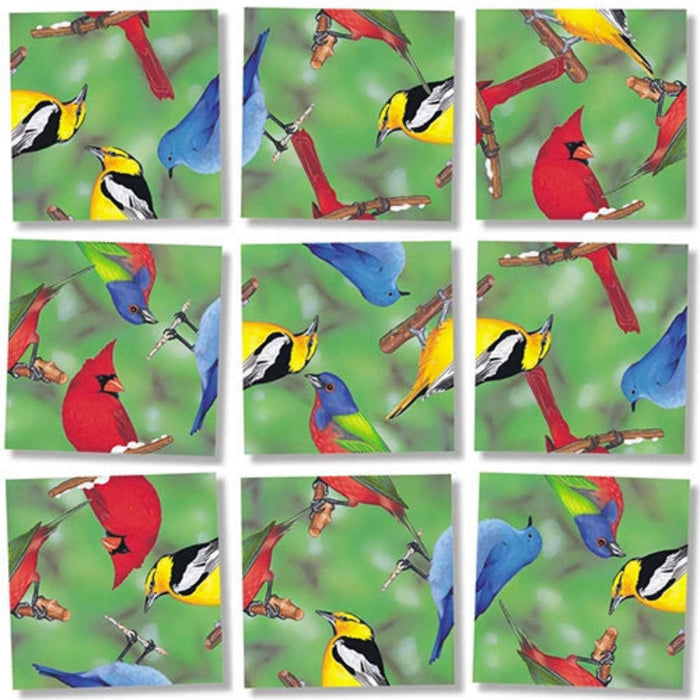 North American Birds Scramble Squares Puzzle