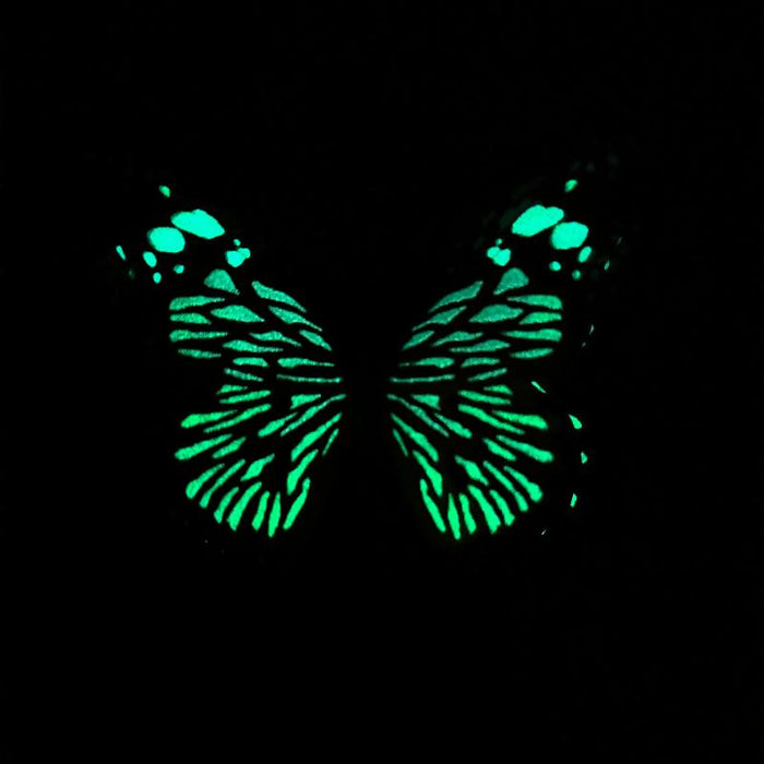 Amber Tiger Glow in the Dark Paper Butterfly Magnet