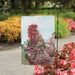 Floral Chicken Garden Flag