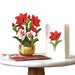 Mini Scarlet Amaryllis Pop-Up Bouquet w/ Note Card