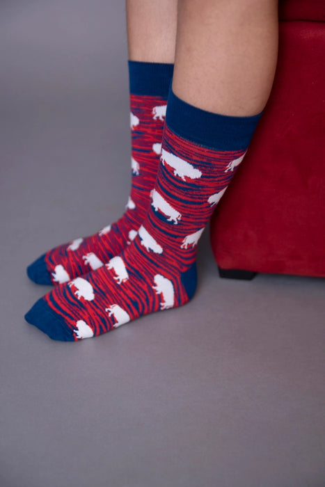 Red and Blue Zebra Buffalo Crew Socks