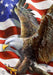 American Freedom Eagle Banner Flag