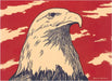 Woodcut of Bald Eagle Postcard