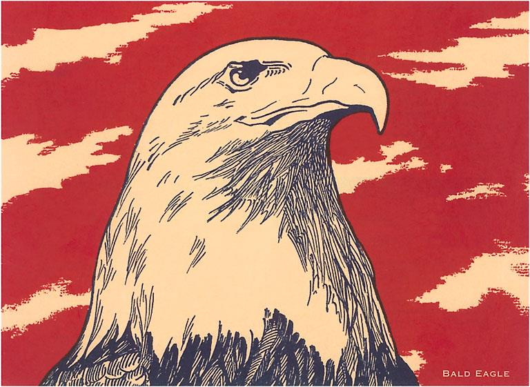 Woodcut of Bald Eagle Postcard