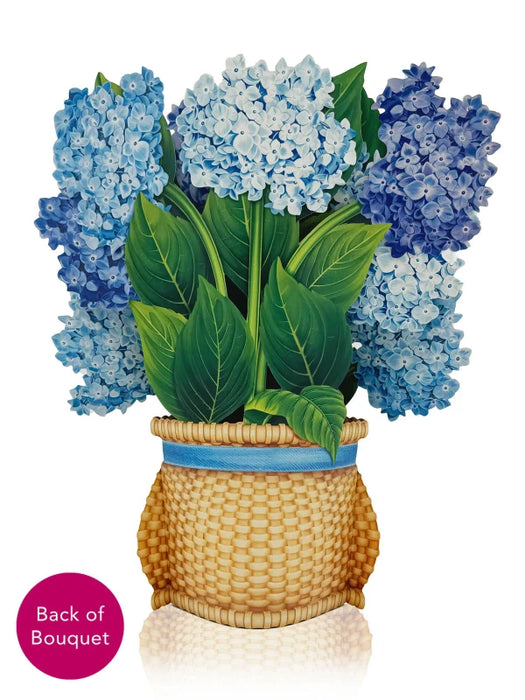 Nantucket Hydrangeas Pop-Up Bouquet w/ Note Card