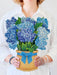 Nantucket Hydrangeas Pop-Up Bouquet w/ Note Card