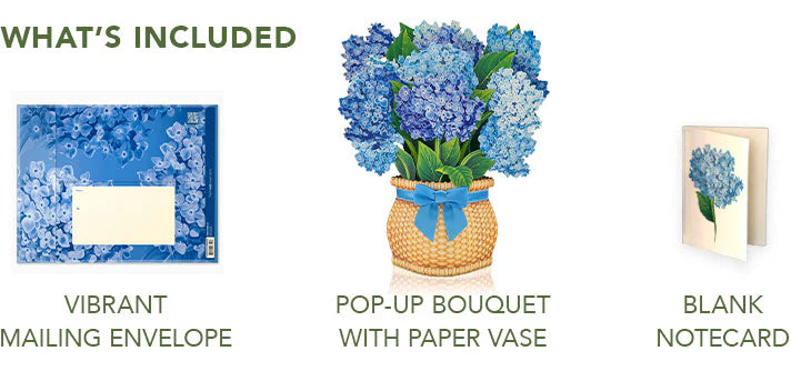 Nantucket Hydrangeas Pop-Up Bouquet w/ Note Card