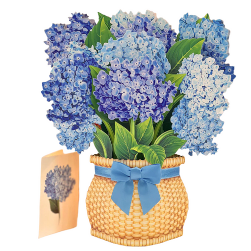 Nantucket Hydrangeas Pop-Up Bouquet w/ Note Card