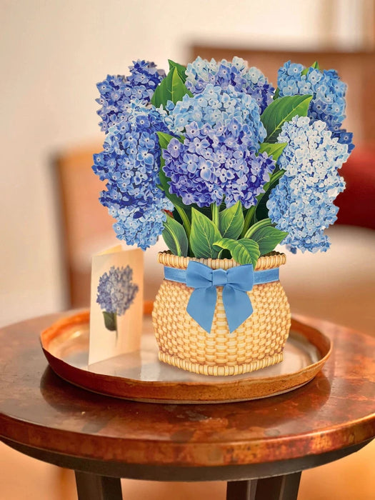 Nantucket Hydrangeas Pop-Up Bouquet w/ Note Card