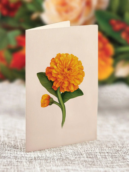 Pumpkin Spice Pop-Up Bouquet w/ Note Card