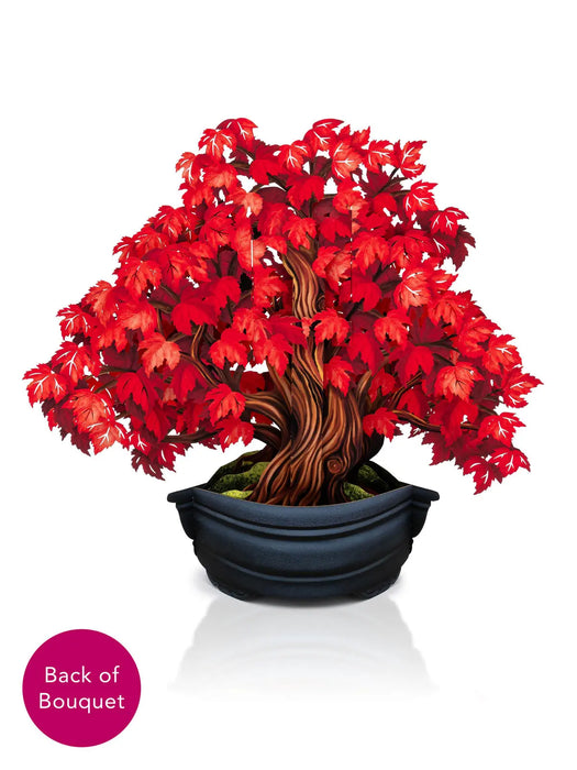Red Maple Tree Pop-Up Bouquet w/ Note Card