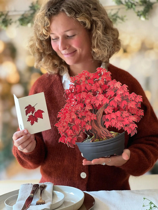Red Maple Tree Pop-Up Bouquet w/ Note Card