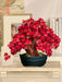 Red Maple Tree Pop-Up Bouquet w/ Note Card