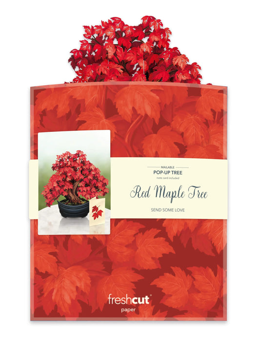 Red Maple Tree Pop-Up Bouquet w/ Note Card
