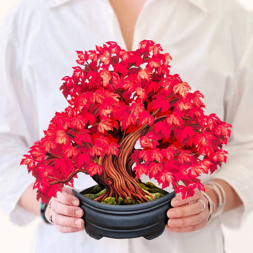 Red Maple Tree Pop-Up Bouquet w/ Note Card