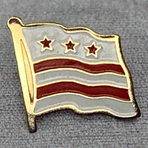 District of Columbia Flag Lapel Pin 2025