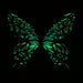 Floral Swallowtail Glow in the Dark Paper Butterfly Magnet