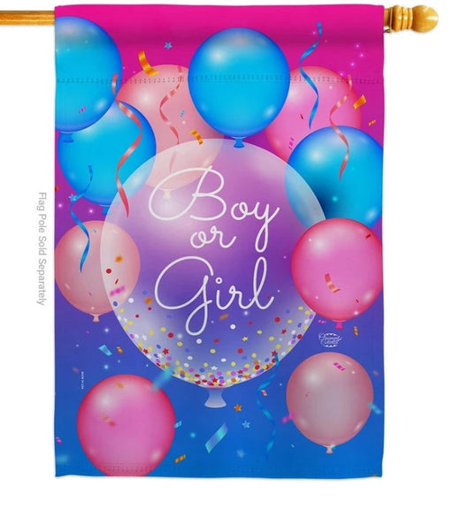 Boy or Girl Gender Reveal Banner Flag