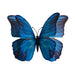 Blue Morpho Glow in the Dark Paper Butterfly Magnet