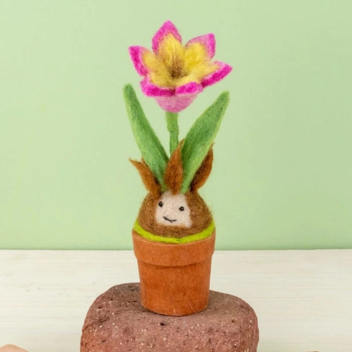 Tulip Blossom Potted Wool Plant