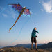 76" 3D Supersize Dragon Kite