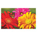 Giant Gerbera Estate Sassafras Switch Doormat