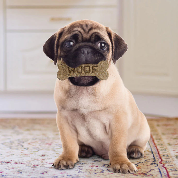 Dog Bone Cookie Cutter - Made in USA