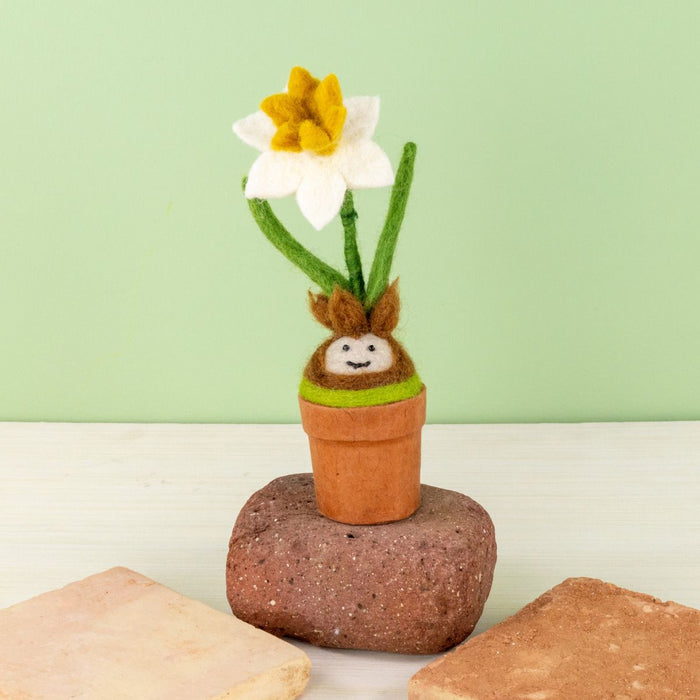 Daffodil Blossom Potted Wool Plant