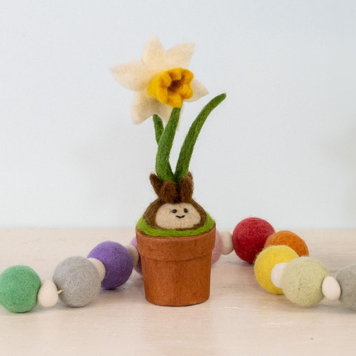 Daffodil Blossom Potted Wool Plant