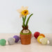 Daffodil Blossom Potted Wool Plant